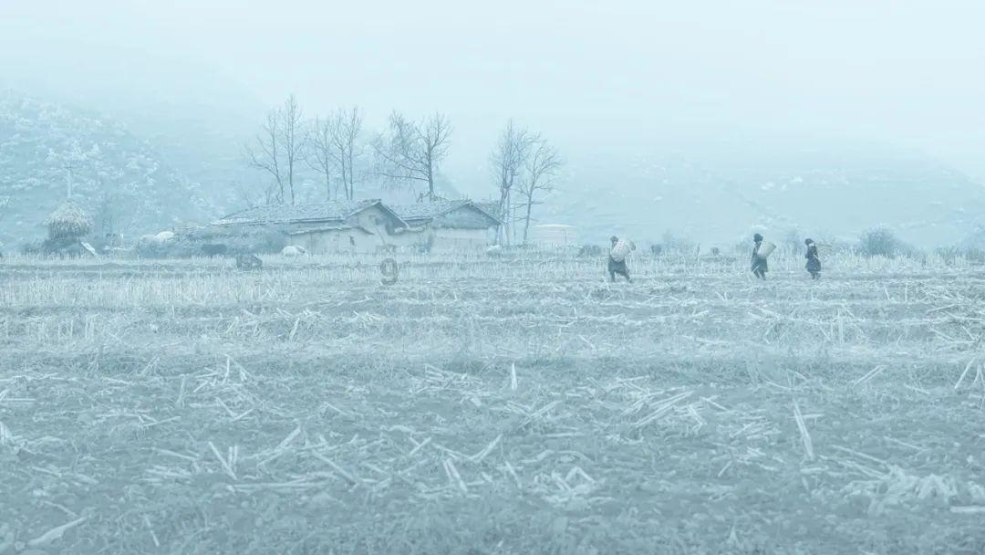 机智问答网页-聪明解答尽在火山石能种兰花吗?